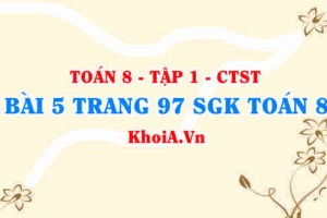 Bài 5 trang 97 SGK Toán 8 Tập 1 Chân trời sáng tạo